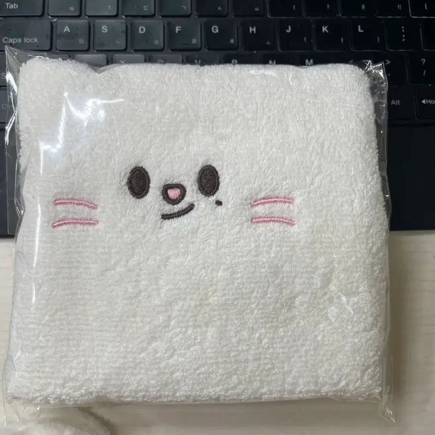 [BUNJANG] Stray Kids Fanmeeting Towel / 스키주 팬미팅 수건 타올 양도