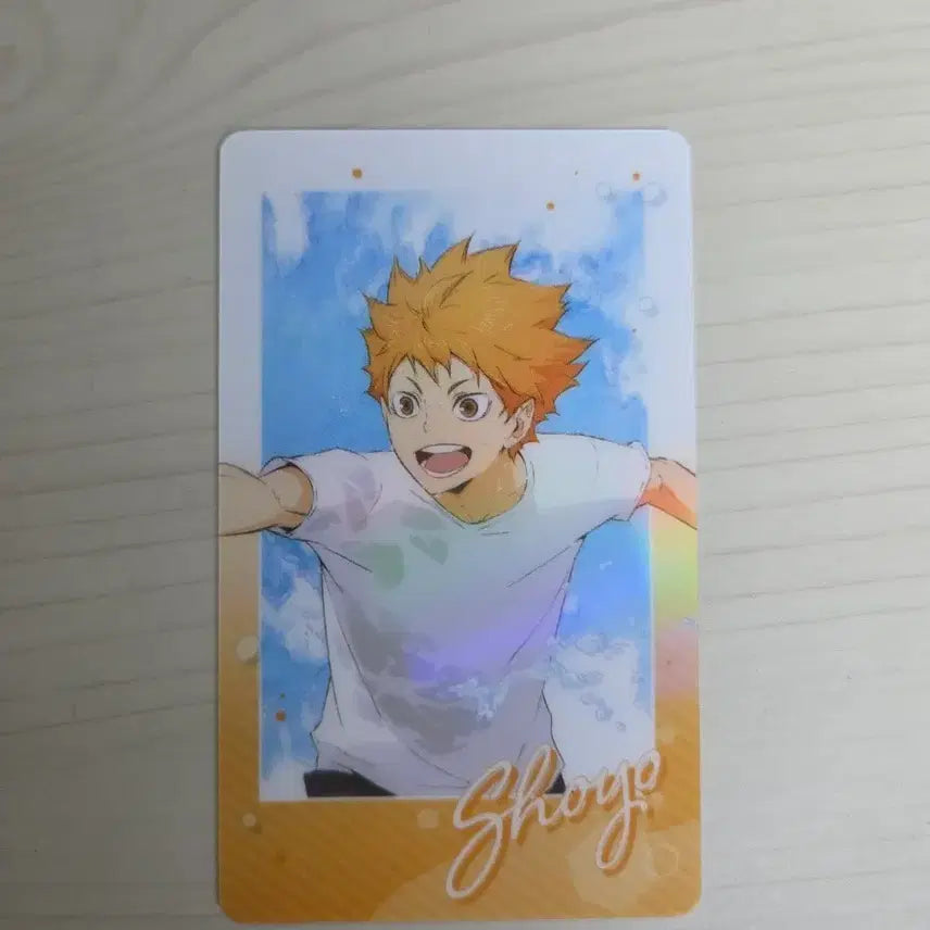[BUNJANG] Haikyu Hinata Water Play Card / 하이큐 히나타 물놀이 카드 히나타 쇼요 파샤 카드
