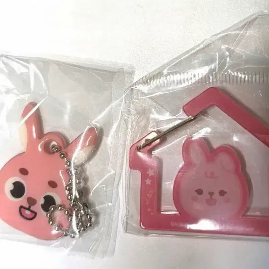 [BUNJANG] Day6 Wonpil Popup Store Carabiner Keyring / 데이식스 원필 팝업 키링 카라비너