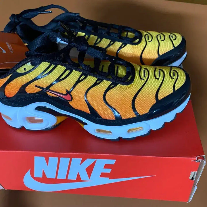 [BUNJANG] Nike Air Max Plus (GS) Sneakers / [230]나이키 에어맥스 플러스 (GS)