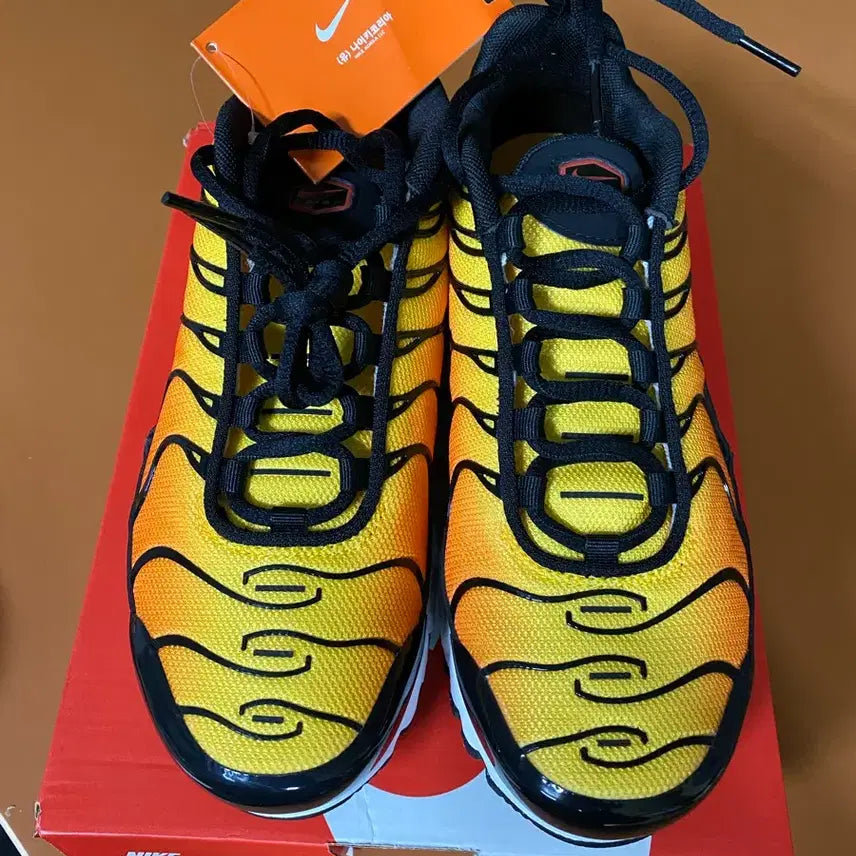 [BUNJANG] Nike Air Max Plus (GS) Sneakers / [230]나이키 에어맥스 플러스 (GS)