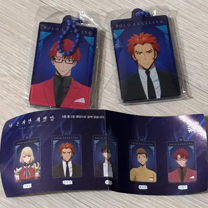 [BUNJANG] Solo Leveling Baek Ho-Yun &amp; Choy Jong-In Keychain Set / 나 혼자만 레벨업키링 백윤호최종인