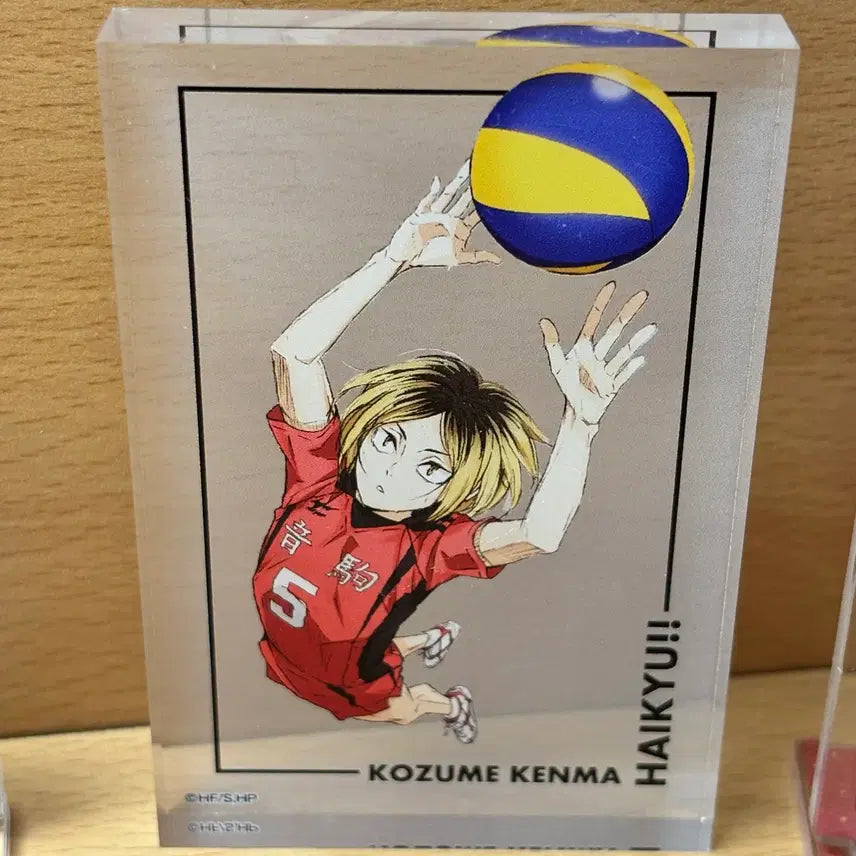 [BUNJANG] Haikyu Kozume Kenma Acrylic Block / 하이큐 코즈메 켄마 아크릴 블록