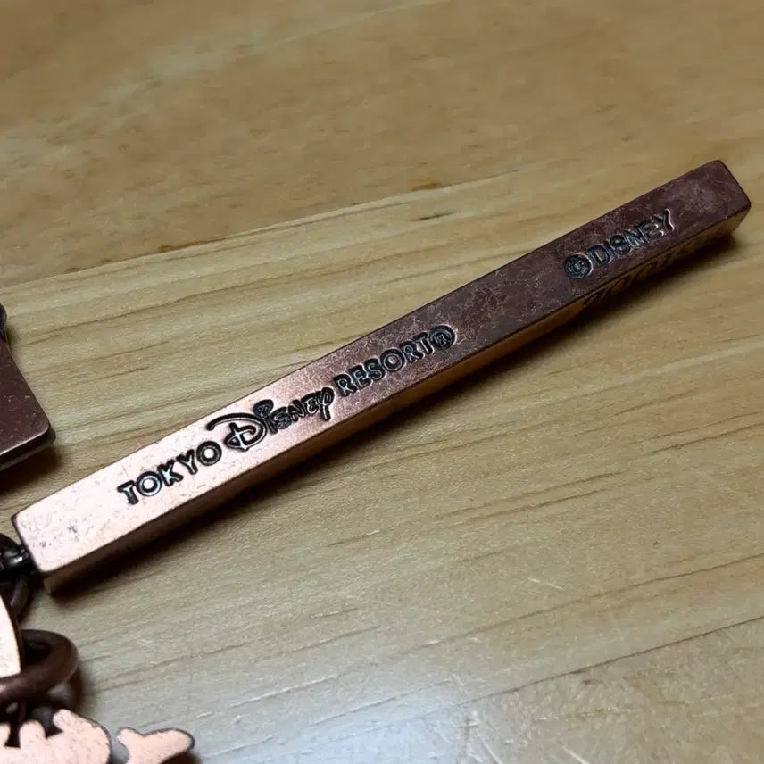 [BUNJANG] Tokyo Disney Resort Miracosta Hotel Keyring / 도쿄 디즈니 리조트 한정 미라코스타 호텔 키링