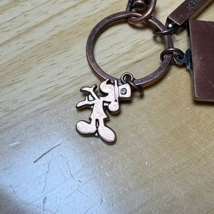 [BUNJANG] Tokyo Disney Resort Miracosta Hotel Keyring / 도쿄 디즈니 리조트 한정 미라코스타 호텔 키링