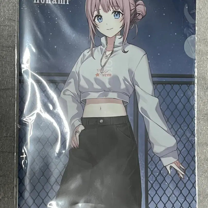 [BUNJANG] Project Sekai Mochizuki Honami Vol.2 Clear File / 프세카 모치즈키 호나미 조조차운 2탄 클리어 파일