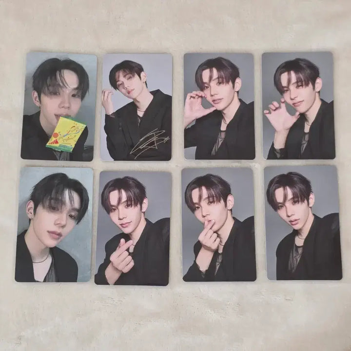 [BUNJANG] RIIZE Shotaro RIIZING LOUD Tokyo Dome Special Edition Bundle Set Photocard / [일괄]라이즈 쇼타로 라이징라우드 도쿄돔 스페셜 회장 한정 랜덤 포토카드