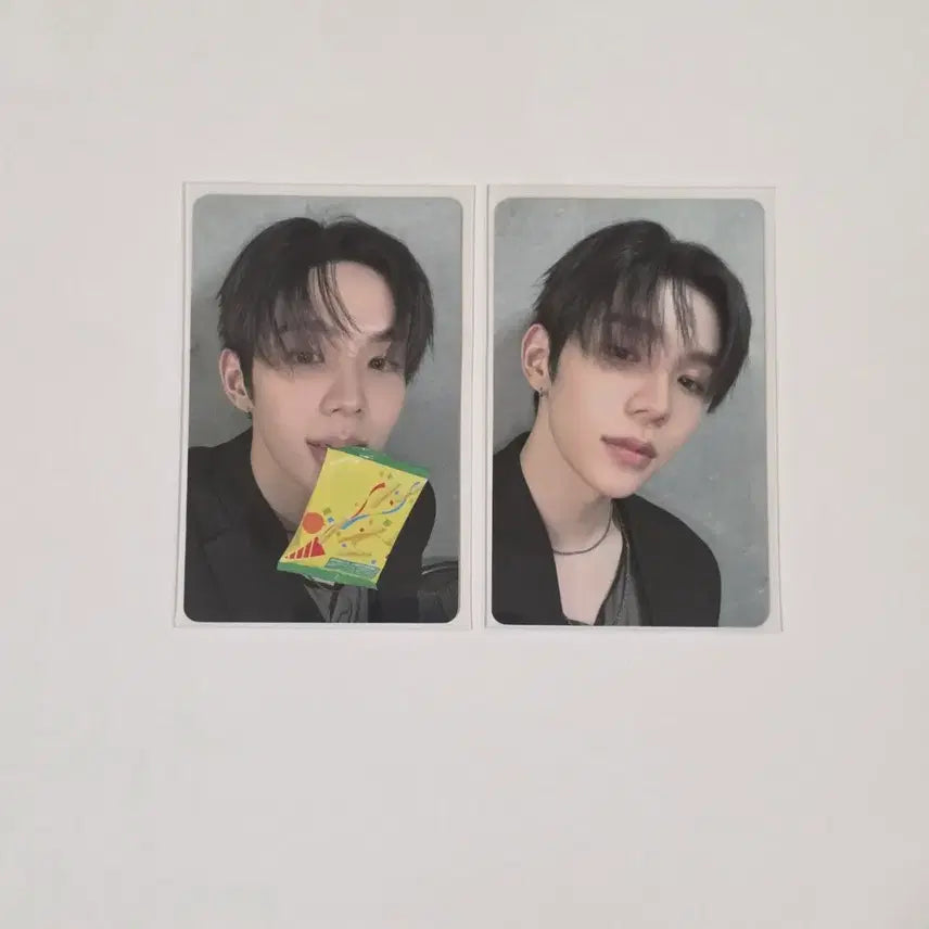 [BUNJANG] RIIZE Shotaro RIIZING LOUD Tokyo Dome Special Edition Bundle Set Photocard / [일괄]라이즈 쇼타로 라이징라우드 도쿄돔 스페셜 회장 한정 랜덤 포토카드