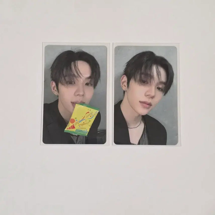 [BUNJANG] RIIZE Shotaro RIIZING LOUD Tokyo Dome Special Edition Bundle Set Photocard / [일괄]라이즈 쇼타로 라이징라우드 도쿄돔 스페셜 회장 한정 랜덤 포토카드