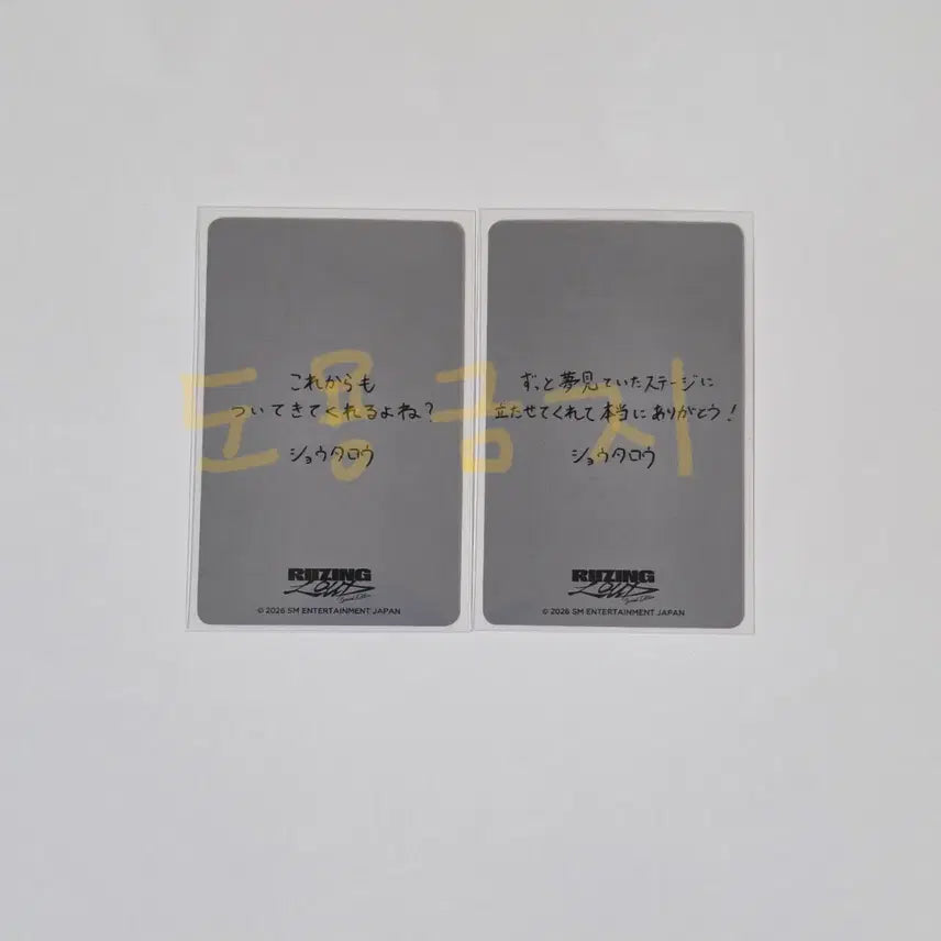 [BUNJANG] RIIZE Shotaro RIIZING LOUD Tokyo Dome Special Edition Bundle Set Photocard / [일괄]라이즈 쇼타로 라이징라우드 도쿄돔 스페셜 회장 한정 랜덤 포토카드