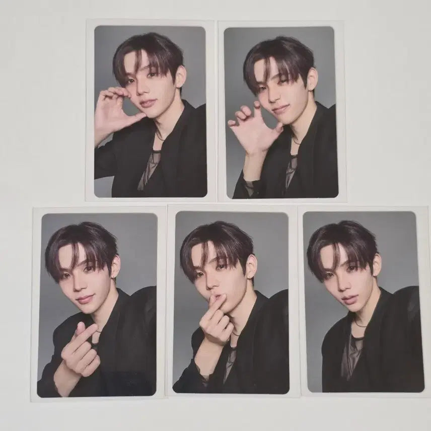 [BUNJANG] RIIZE Shotaro RIIZING LOUD Tokyo Dome Special Edition Bundle Set Photocard / [일괄]라이즈 쇼타로 라이징라우드 도쿄돔 스페셜 회장 한정 랜덤 포토카드
