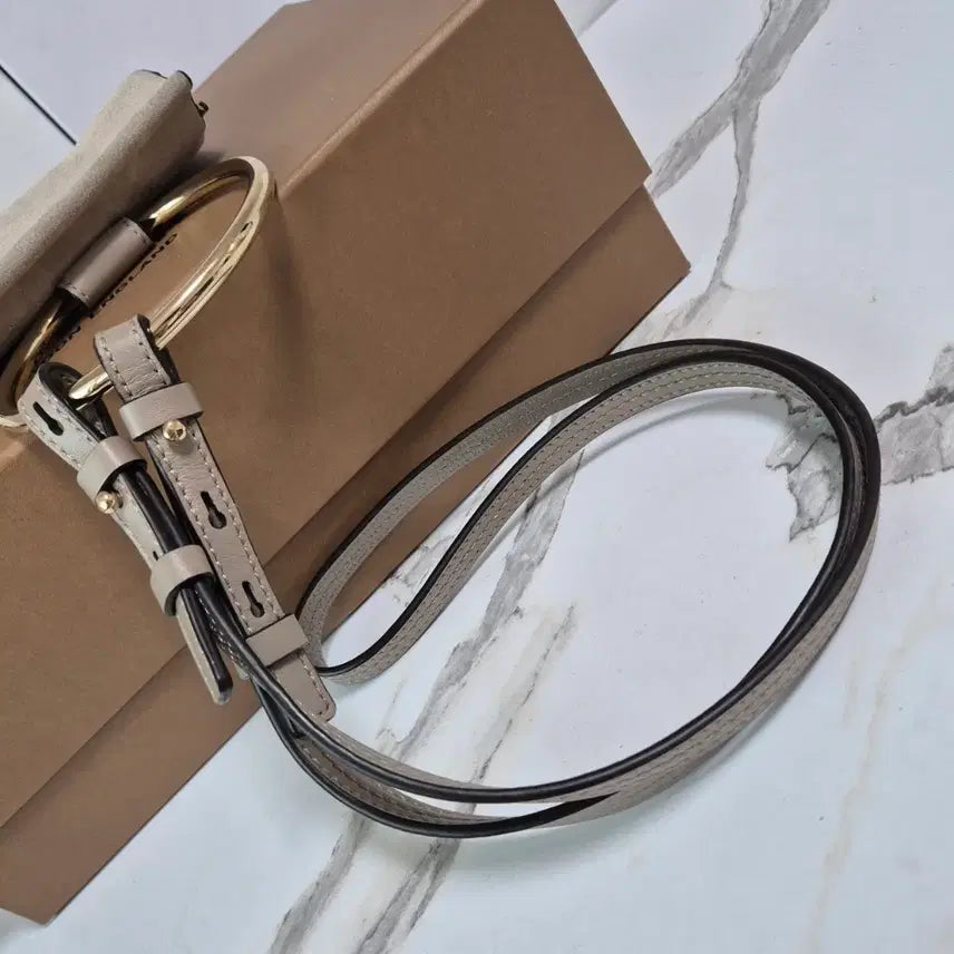 [BUNJANG] Chloé Faye Bracelet Small Crossbody Bag / (정품) 끌로에 페이 브레이슬릿 스몰 크로스백 가방