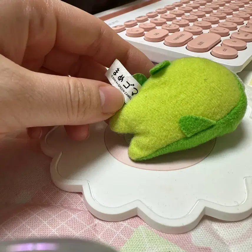 [BUNJANG] Mamegoma Green Tea Mascot Keychain / 녹차 마메고마 키링