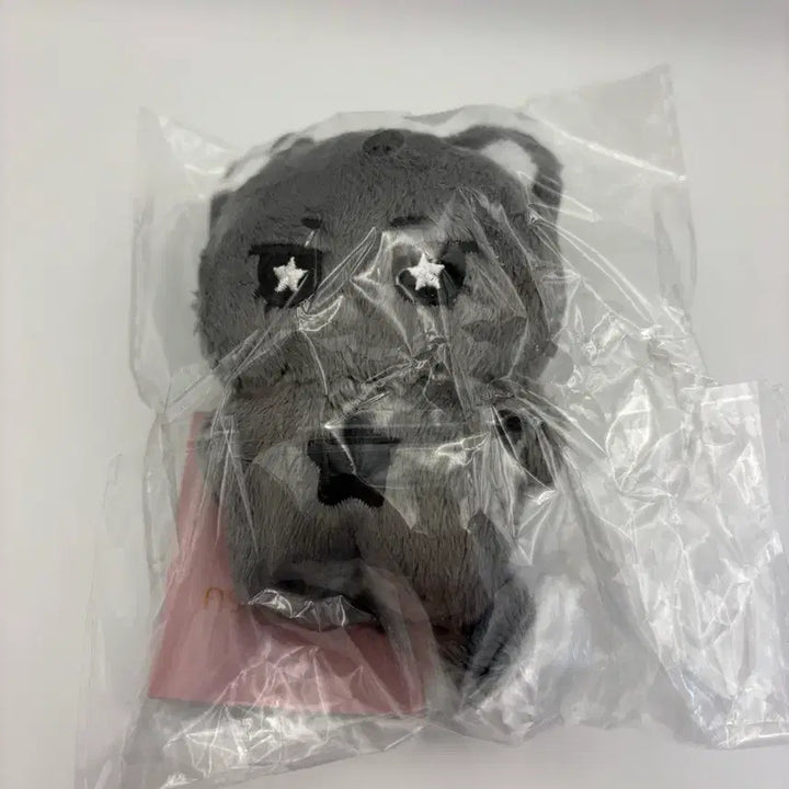 [BUNJANG] NCT WISH Riku Unofficial Doll Bundle Set / 엔시티위시 nct wish 리쿠 비공굿 인형 일괄