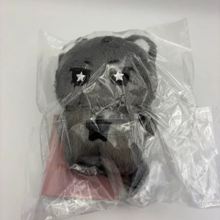 [BUNJANG] NCT WISH Riku Unofficial Doll Bundle Set / 엔시티위시 nct wish 리쿠 비공굿 인형 일괄