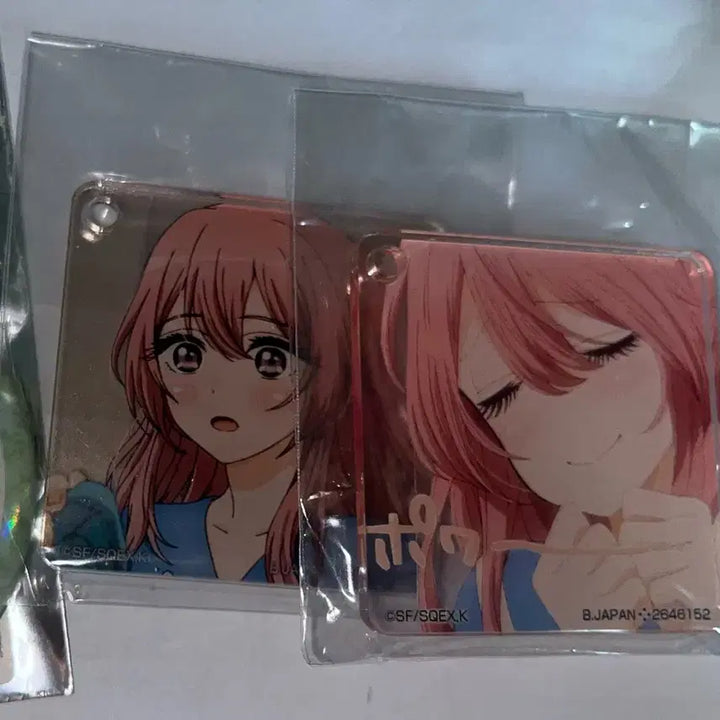 [BUNJANG] Biscoch Doll Inui Shinju Goods / 비스크돌 이누이 신쥬 굿즈