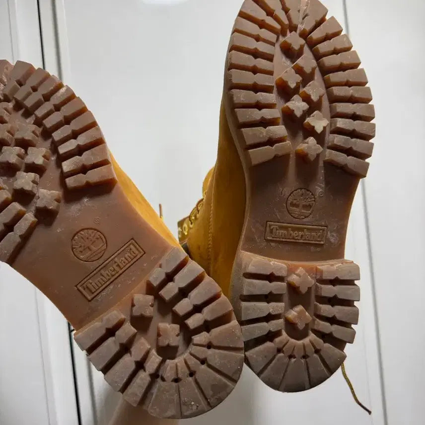 [SOLD OUT] 팀버랜드 6인치 8.5