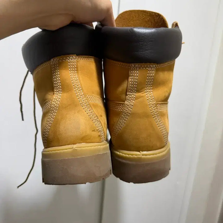 [SOLD OUT] 팀버랜드 6인치 8.5