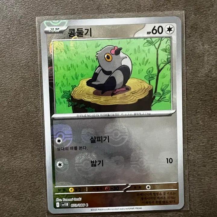 [BUNJANG] Pokemon Pidgeotto Master Ball Mirror Card / 포켓몬 콩둘기 마스터볼 미러 카드