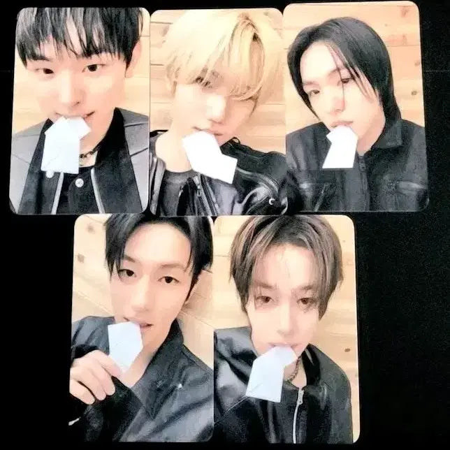 [BUNJANG] KEYVITUP Photocard Set / KEYVITUP 키빗업 포카 세트