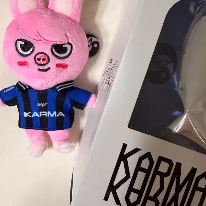 [SOLD OUT] 카르마 스키주 돼끼인형