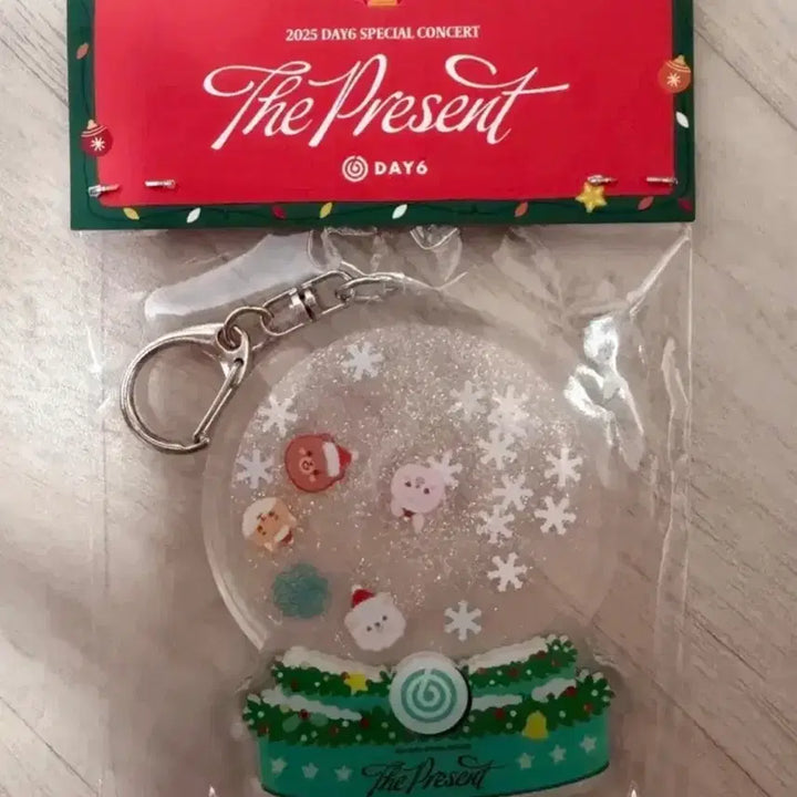 [BUNJANG] Day6 2025 Concert Snow Shaker Keyring / 데이식스 2025 클콘 랜덤 가챠 스노우쉐이커키링