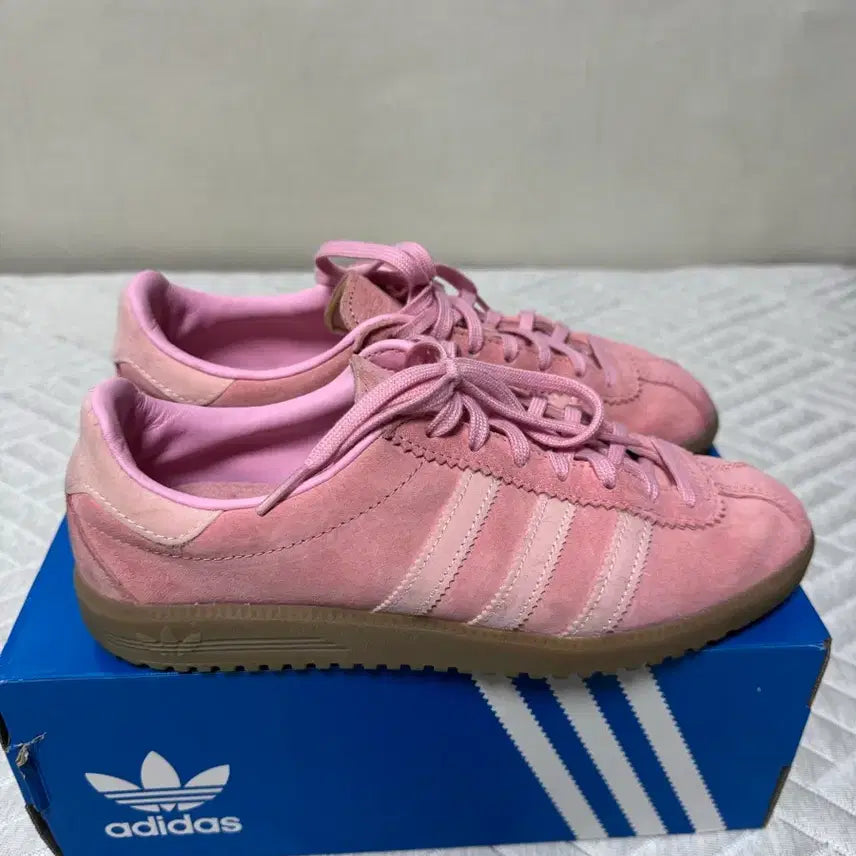 [SOLD OUT] 아디다스 버뮤다 글로우 핑크