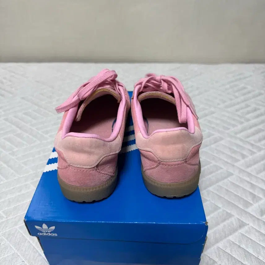 [SOLD OUT] 아디다스 버뮤다 글로우 핑크