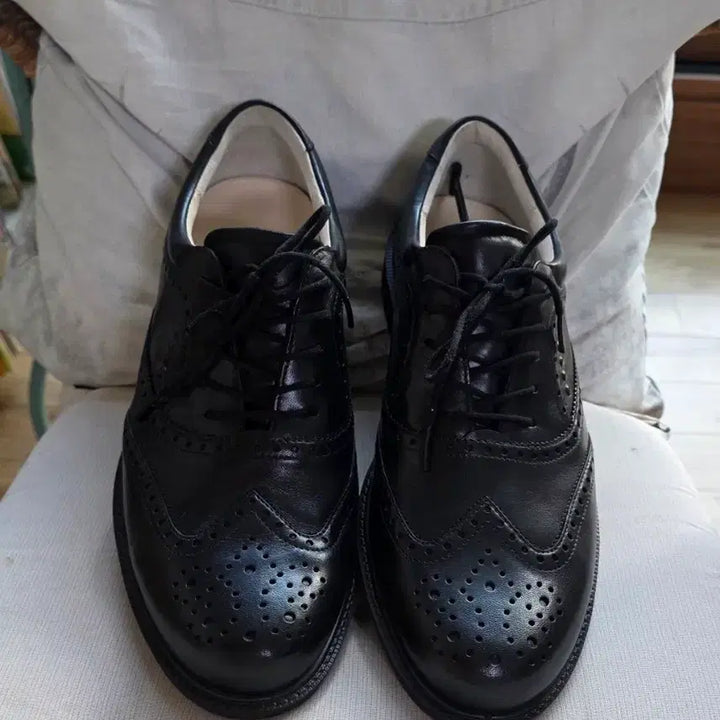 [BUNJANG] Ecco Classic Hybrid Golf Shoes / 에코(Ecco) 클래식 하이브리드 골프화
