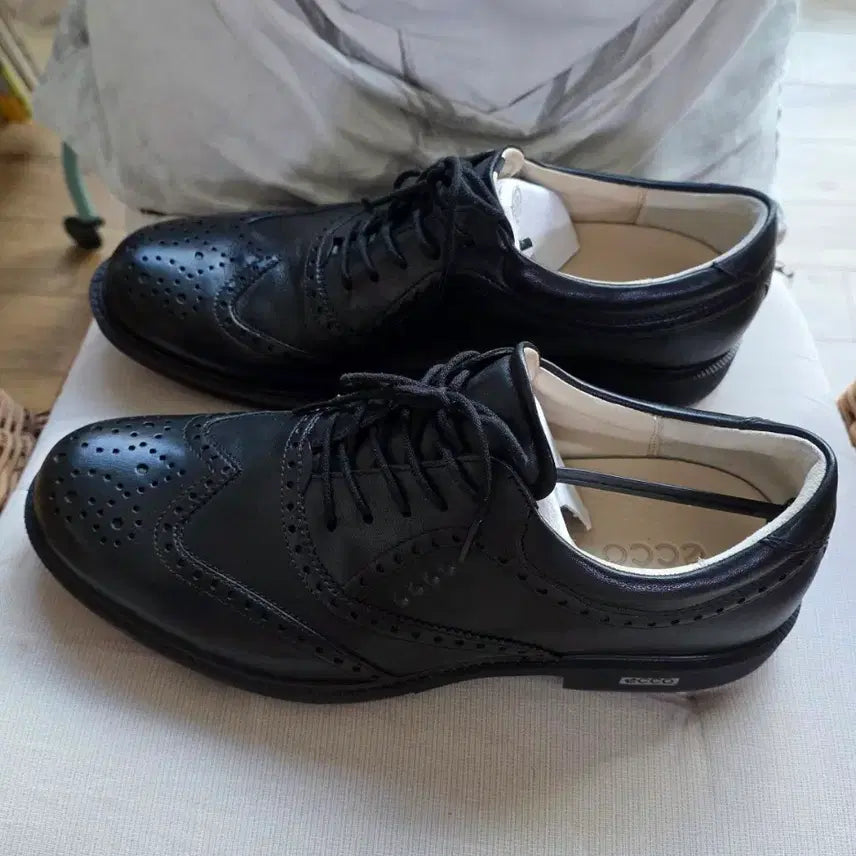 [BUNJANG] Ecco Classic Hybrid Golf Shoes / 에코(Ecco) 클래식 하이브리드 골프화