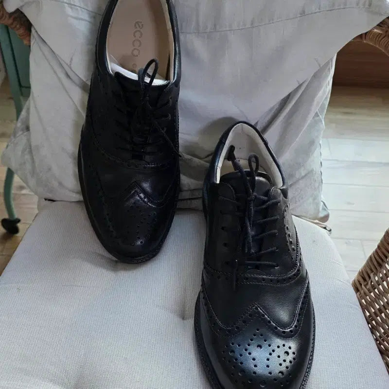 [BUNJANG] Ecco Classic Hybrid Golf Shoes / 에코(Ecco) 클래식 하이브리드 골프화