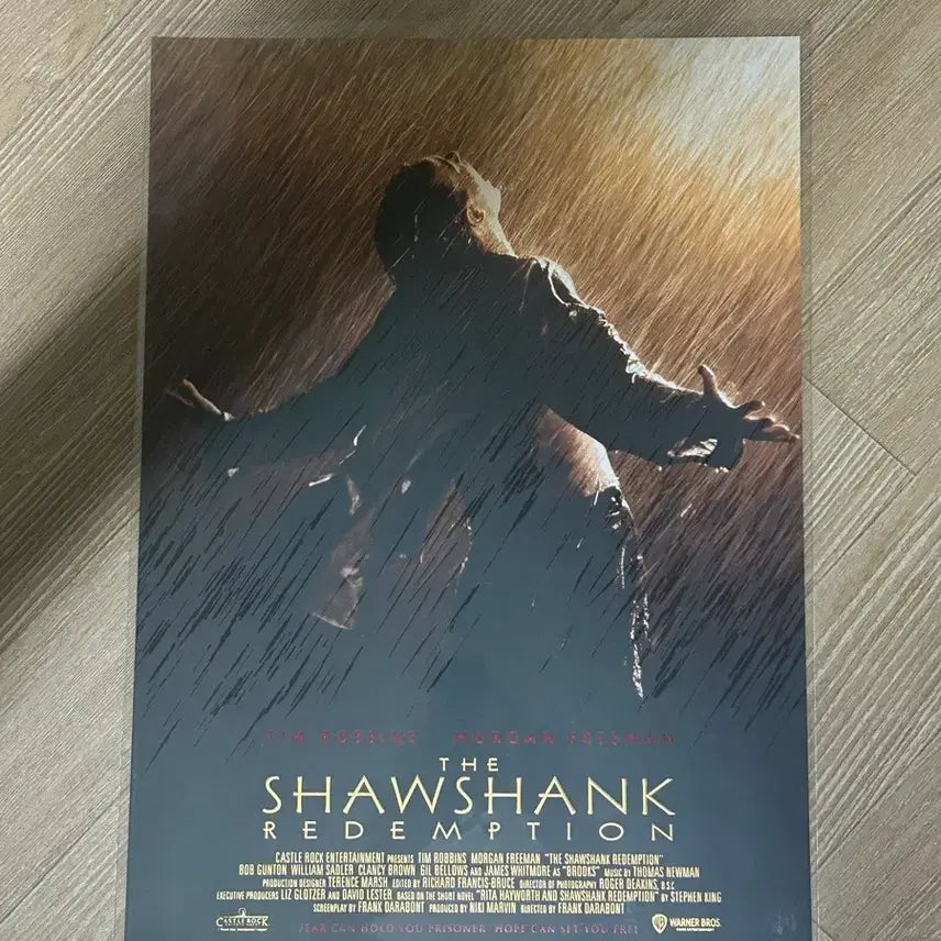 [BUNJANG] The Shawshank Redemption Cine Archive A3 Poster / 쇼생크탈출 시네아카이브 포스터 A3