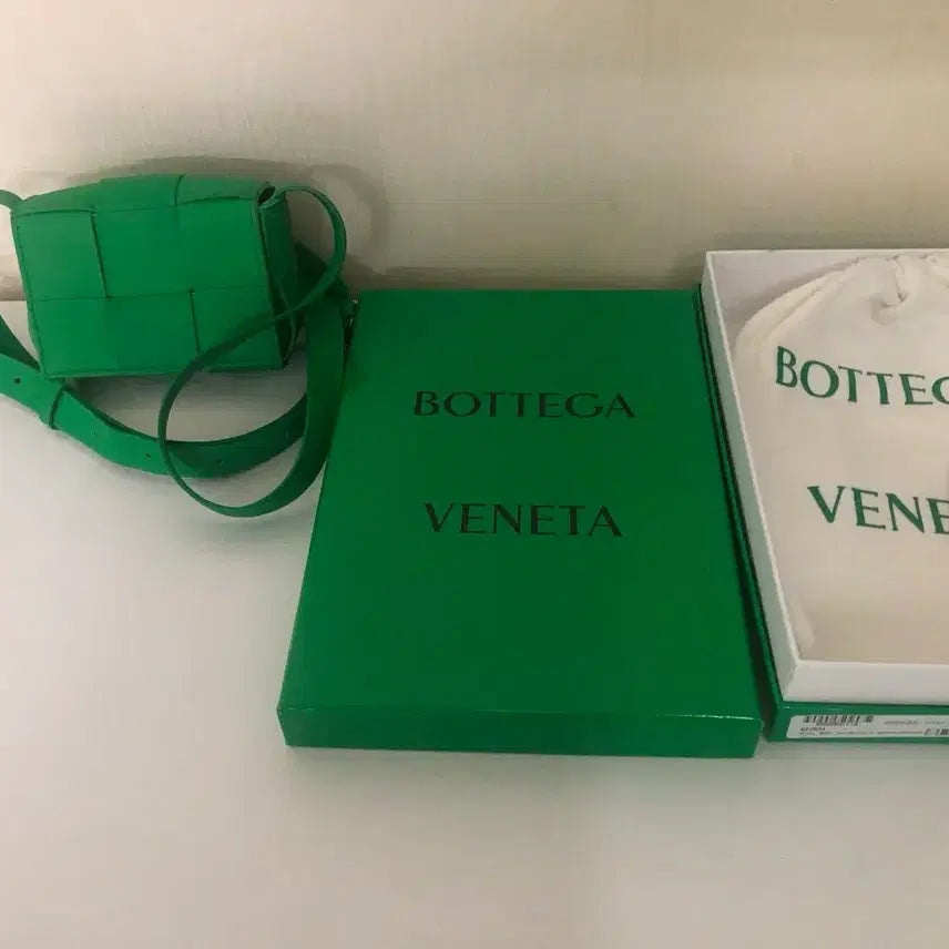 [BUNJANG] Bottega Veneta Cassette Mini Bag / 보테가 베네타카세트 미니백