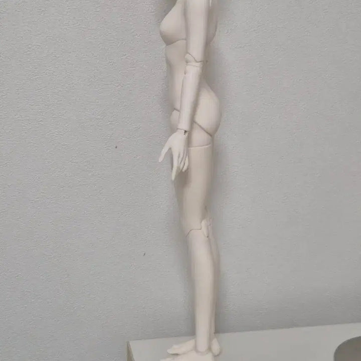 [BUNJANG] MSD Size Naayomi Pearl Body (White) Full Box with Warranty Card and Dibag / MSD 바디 풀박스 보증카드 디박포함 미백 구관 구체관절인형