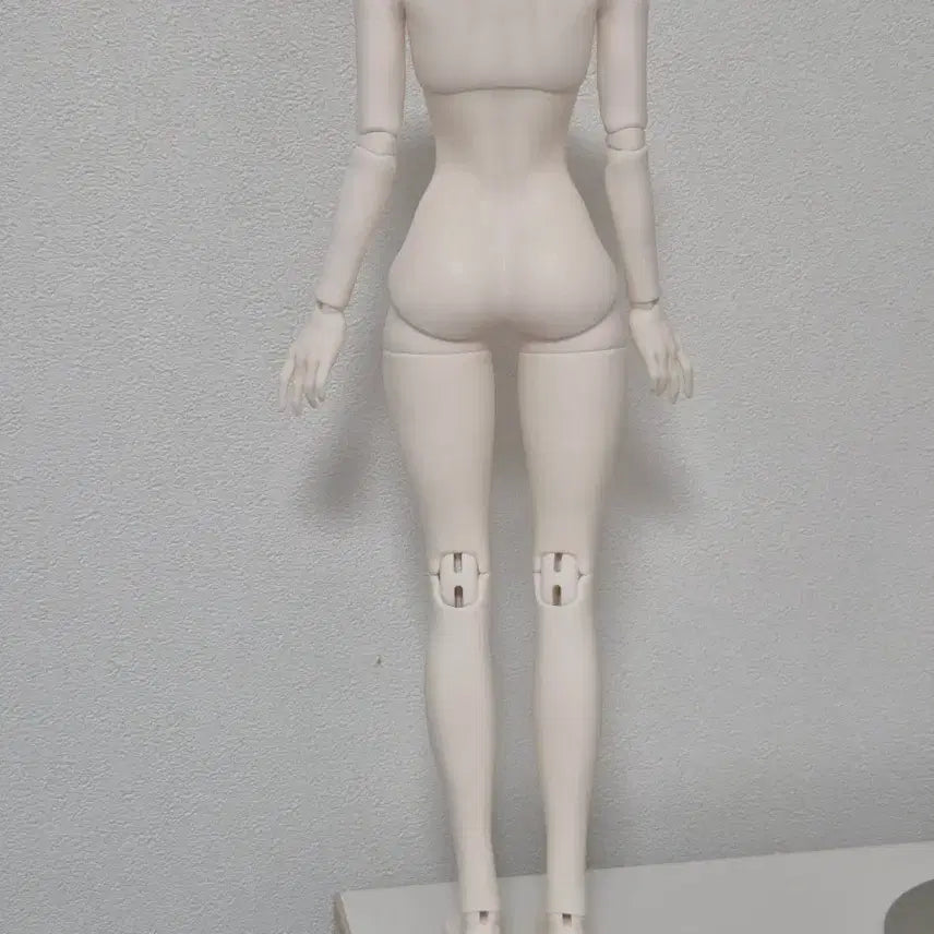[BUNJANG] MSD Size Naayomi Pearl Body (White) Full Box with Warranty Card and Dibag / MSD 바디 풀박스 보증카드 디박포함 미백 구관 구체관절인형