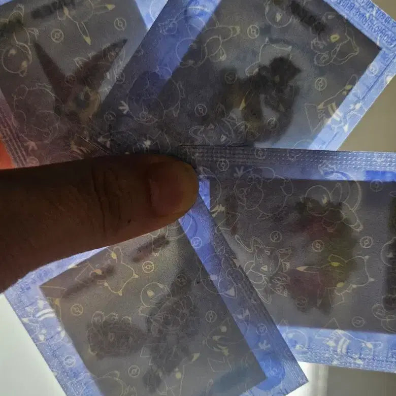 [BUNJANG] Pokemon 30th Anniversary Victini Reshiram Snorlax Sticker / 포켓몬 띠부씰 시즌5 30주년 비크티니  레시라무 나무킹 판매(가격내림)