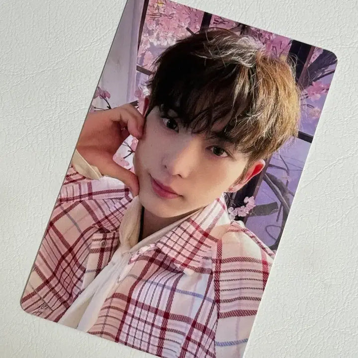 [BUNJANG] &amp;TEAM Harua Samidare IZ*ONE POB Photocard / 앤팀 하루아 사미다레 이즈위 미공포 포카