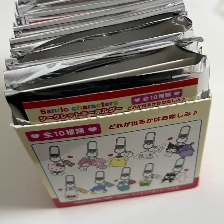 [BUNJANG] Sanrio My Melody Secret Key Holder / 산리오 캐릭터 시크릿 키홀더 마이멜로디