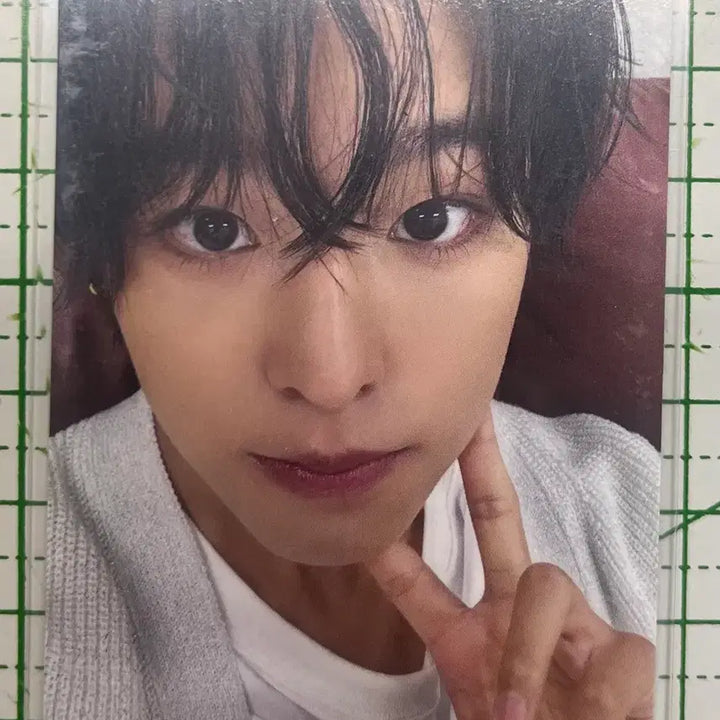 [BUNJANG] NCT WISH Riku Photocard / 엔시티 위시 리쿠 일본