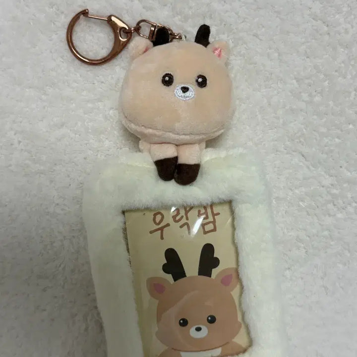 [SOLD OUT] 라이즈 리라즈 포카홀더 우락밤