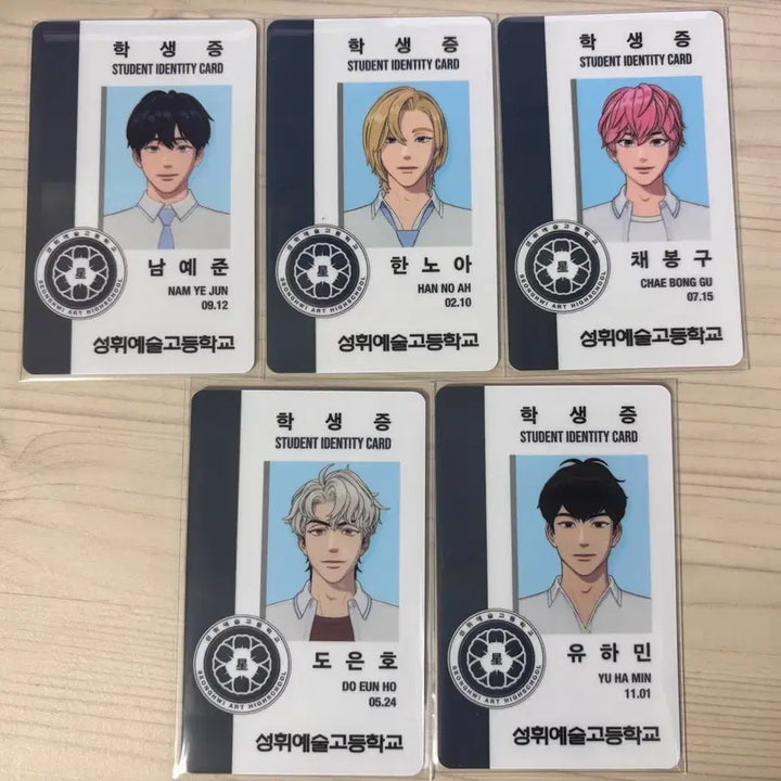 [SOLD OUT] 플레이브 육여름 학생증 일괄
