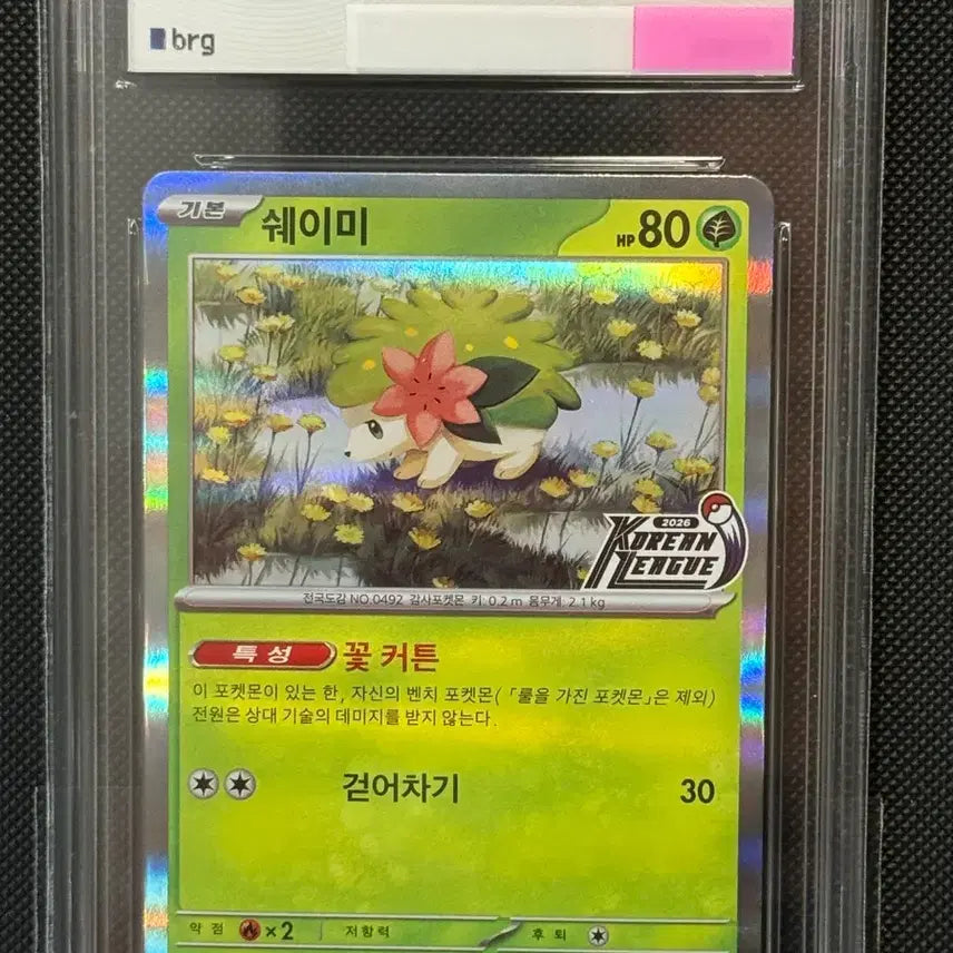 [BUNJANG] Sealed Pokémon TCG Korean League Promo Card / 코리안 리그 프로모카드