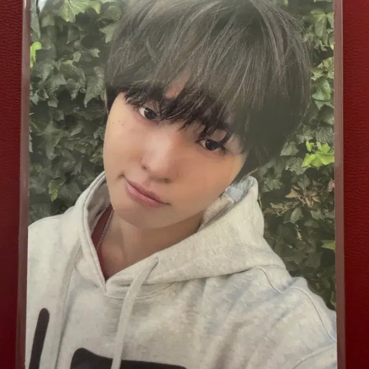 [BUNJANG] Kickflip Keiju 4th Album POB Photocard / 킥플립 케이주 공방 포카 4집 눈에 거슬리고 싶어 kickflip