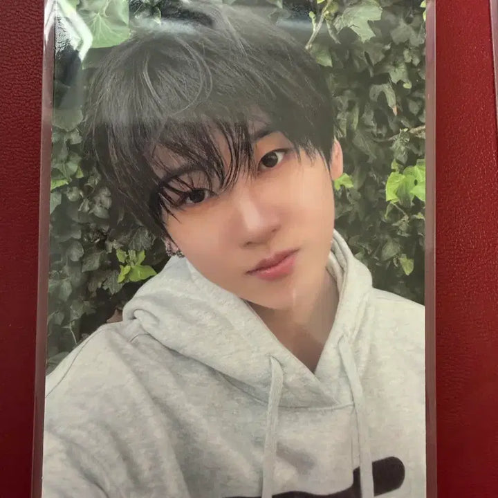 [BUNJANG] Kickflip Kyehoon Official Photocard - 4th Album / 킥플립 계훈 공방포카 4집 눈에 거슬리고 싶어 kickflip 기웃