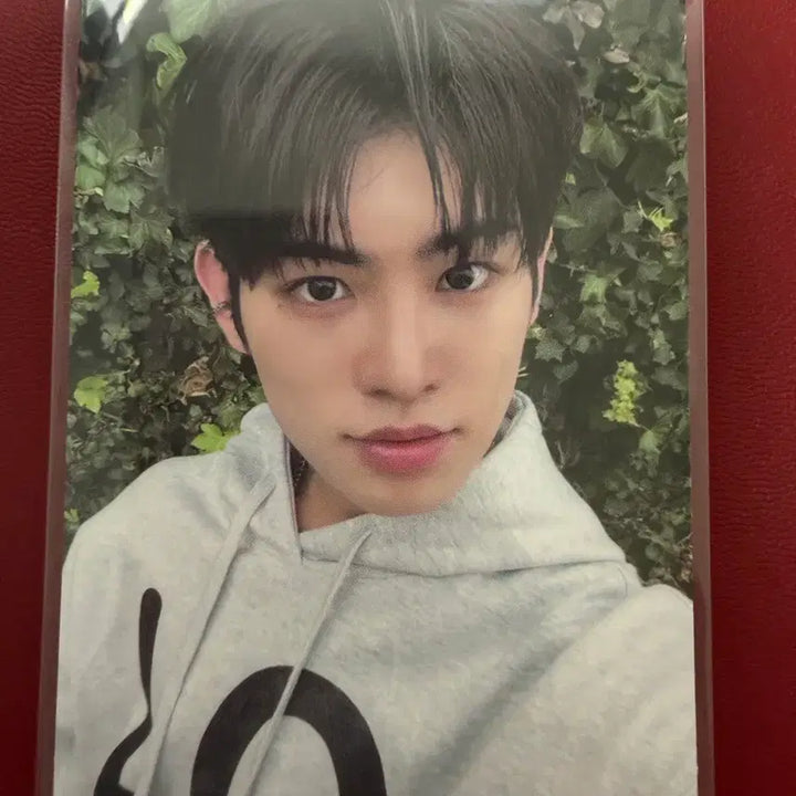 [BUNJANG] Kick it Like This Minje Photocard / 킥플립 민제 공방 포카 눈에 거슬리고 싶어 4집 kickflip 기웃