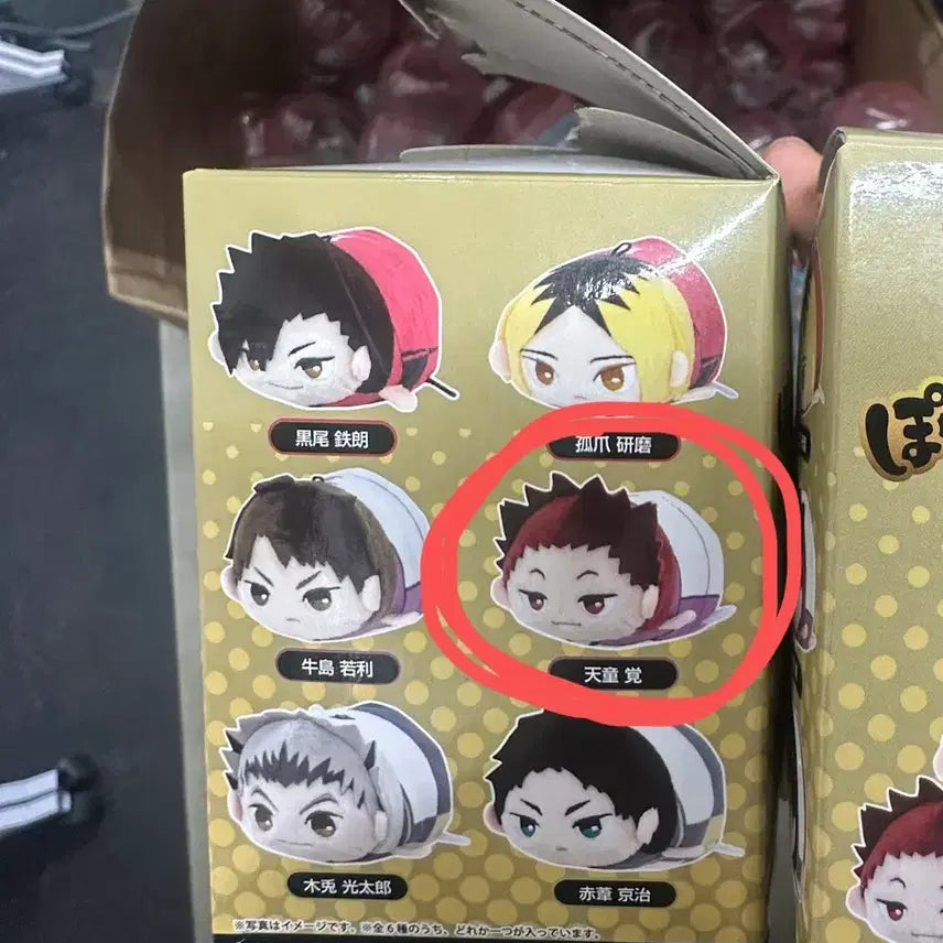 [BUNJANG] Haikyuu Tendo Satori Figure / 하이큐 포테코로 텐도