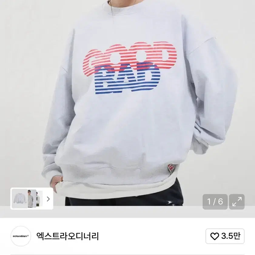 [BUNJANG] Extraordinary Sweatshirt Gray L Size / 엑스트라오디너리 맨투맨