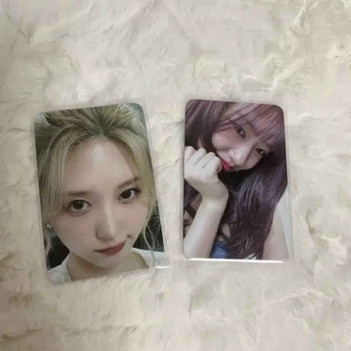 [BUNJANG] IVE Gaeul, Yujin Photocard POB / 가을이,유진이 포카 엑소액지 특전 (급급급급급처)
