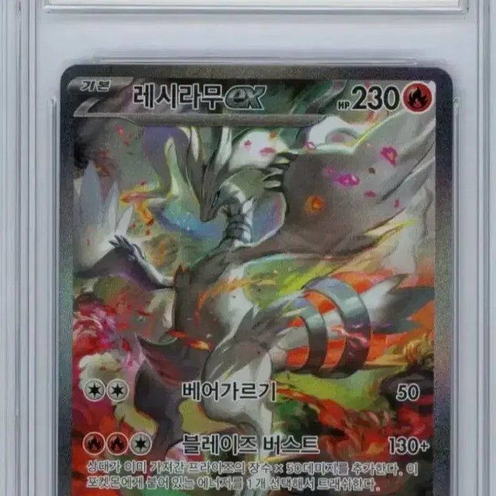 [SOLD OUT] 레시라무 brg9