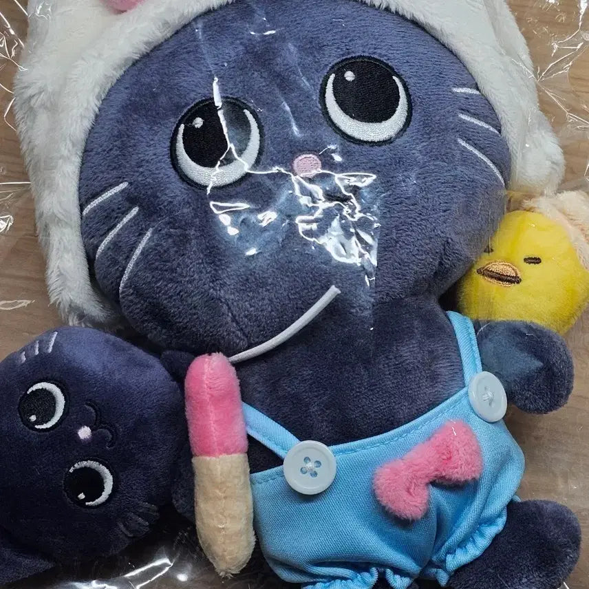 [BUNJANG] RIIZE Soonyoung 20cm Plush / 라이즈 리라즈 토냥덕 20cm